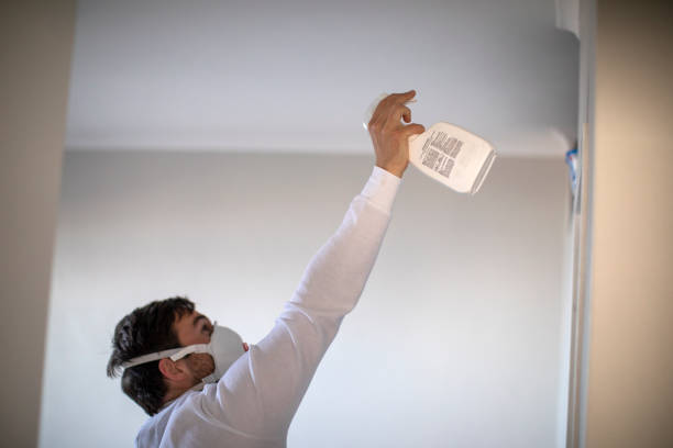 Best Professional Mold Removal  in Mount Repose, OH