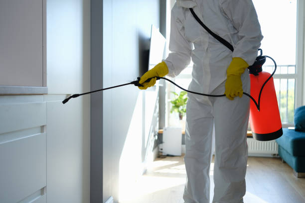 Professional Mold Removal in Mount Repose, OH